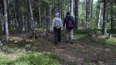 Bir çift turist sırt çantalarıyla ormanda yürüyor. Yan görünüm.