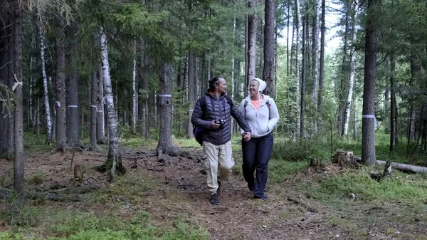 Bir çift turist sırt çantalarıyla ormanda yürüyor. Yan görünüm.