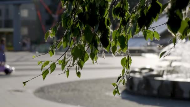Place de la ville, les gens avec des enfants marchant au soleil couchant, déconcentré, branche d'arbre, peluches de peuplier volant autour. Tournage dramatique. Ville bacground 