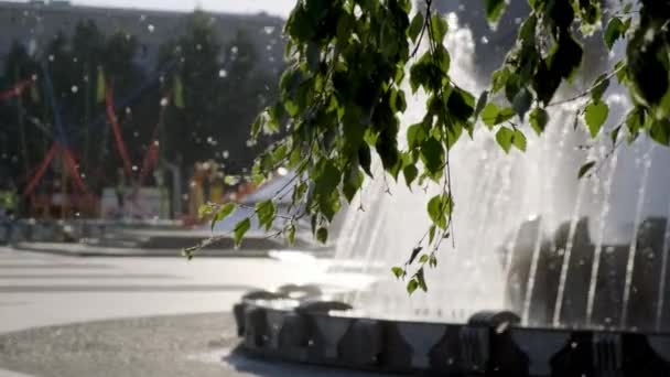 Plaza de la ciudad, gente con niños caminando en el sol poniente, desenfocado, rama de árbol, pelusa de álamo volando alrededor. Un rodaje dramático. Ciudad bacground — Vídeo de stock