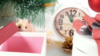 Beyaz sıçan yeni yıl süslemeleri, Noel ağaçları oyuncaklar, topları sürünür. Yeni 2020 ve 2032 sembolü.