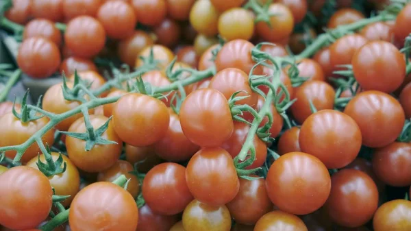 Tomates sur une branche dans un supermarché, beau rouge. Gros plan — Photo