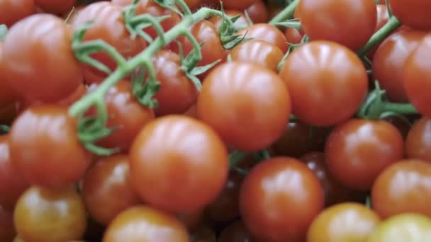 Tomatoes on a branch in a supermarket, beautiful red. Close up — Stock Video
