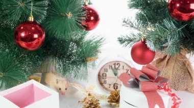 Beyaz sıçan yeni yıl süslemeleri, Noel ağaçları oyuncaklar, topları sürünür. Yeni 2020 ve 2032 sembolü.