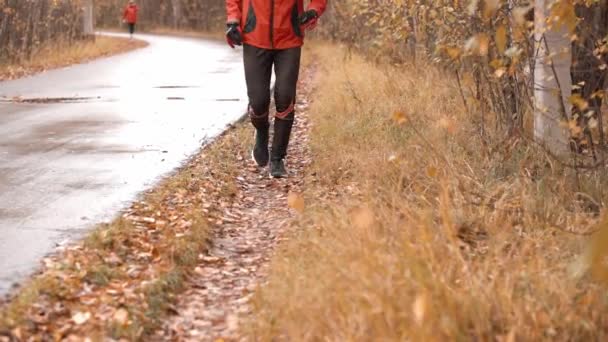 Een niet erkende runner loopt in het park door vallende bladeren in het voorjaar in kleurrijke kleren. uitzicht vanaf de onderkant — Stockvideo