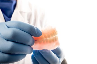 Beyaz önlüklü bir dişçi elinde sahte bir çene tutuyor. Sağlıklı diş kavramı.