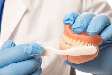 Beyaz önlüklü bir dişçi doktorunun elinde sahte bir çene var. Diş tezgahı ile dişleri nasıl fırçalanın. Sağlıklı dişler kavramı.