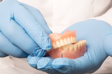 Beyaz önlüklü bir dişçi elinde sahte bir çene tutuyor. Sağlıklı diş kavramı.