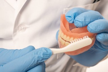 Beyaz önlüklü bir dişçi doktorunun elinde sahte bir çene var. Diş tezgahı ile dişleri nasıl fırçalanın. Sağlıklı dişler kavramı.