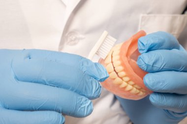 Beyaz önlüklü bir dişçi doktorunun elinde sahte bir çene var. Diş tezgahı ile dişleri nasıl fırçalanın. Sağlıklı dişler kavramı.