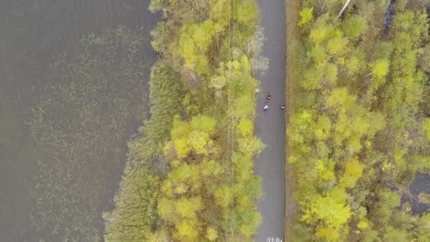 가을 숲에서 훈련하고 있는 사람들의 공중 촬영 — 비디오
