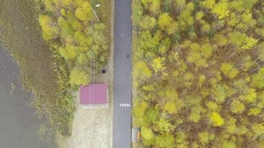 Sonbahar ormanlarında eğitim gören insanların hava görüntüleri. 