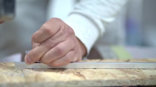 Craftsman works with a hammer and nail — Stockvideo