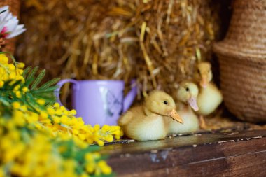 Sandalyedeki düğün buketi