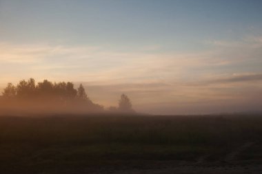 sis karşı orman alanında