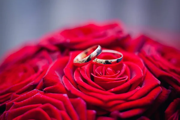 Red Rose Wedding Rings — Stock Photo, Image