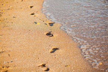 Sahilde ayak izleri.