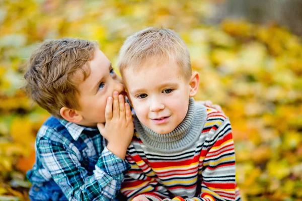 Ragazzo Racconta Segreto Suo Amico Nell Orecchio Parco Autunnale Uno — Foto Stock