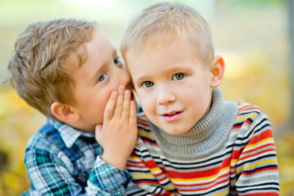 A boy tells a secret to his friend in the ear in an autumn Park against a background of yellow leaves. The boy is surprised by what he has heard.