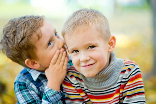 A boy tells a secret to his friend in the ear in an autumn Park against a background of yellow leaves.