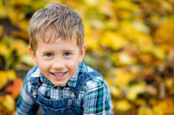 Portrait Fashionable Boy Outdoors Cute Boy Walking Autumn Park Kids Royalty Free Stock Photos