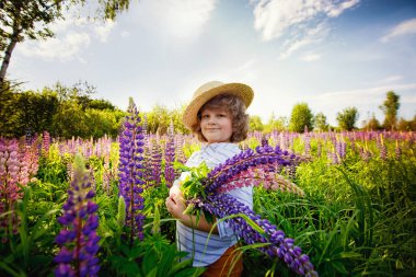 Çiçek açan lupinler tarlasında şapkalı yakışıklı bir Avrupalı çocuk. Doğada güzel bir çocuğun portresi..