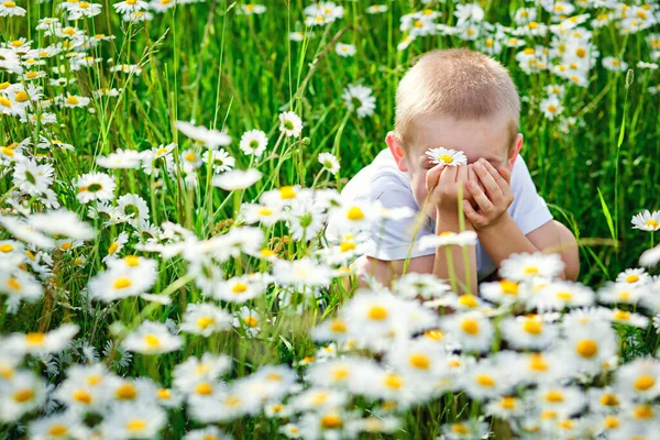 デイジーと一緒に畑でかわいい子供 少年はカモミールの畑に座っていて 目を手で覆いました 花と美しい自然 子供はかくれんぼをする時間を過ごす — ストック写真