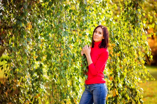 Portrait Young Beautiful Girl Park Branches Birch Yellow Green Leaves — Stock Photo, Image