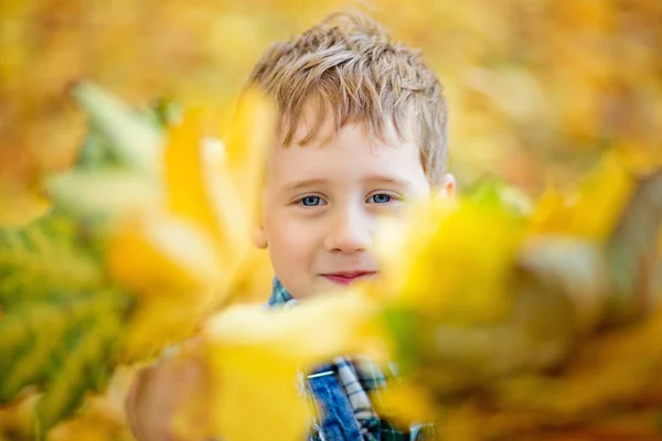 Portret Chłopca Świeżym Powietrzu Tle Żółtych Liści Cute Boy Walking — Zdjęcie stockowe