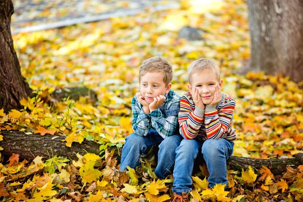 Dwóch Młodszych Braci Siedzi Pniu Jesiennym Parku Wśród Żółtych Liści — Zdjęcie stockowe