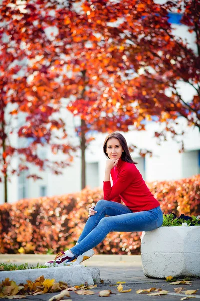 Close-up open Portrait of a young beautiful happy smiling girl in a red sweater posing near an autumn tree. The lady looks at the camera.