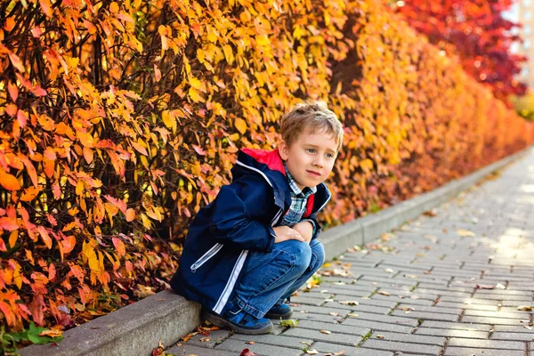 Tenero Bambino Triste Ragazzo Seduto Solo Terra Parco Autunnale Vicolo — Foto Stock