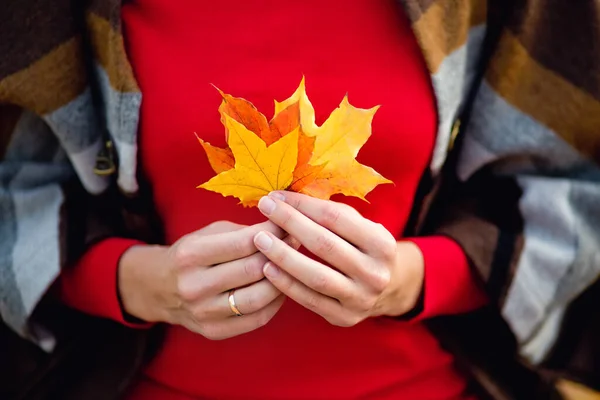 赤いセーターの女性がオレンジと金の紅葉を持っています 紅葉の女性の手に焦点を当てる — ストック写真