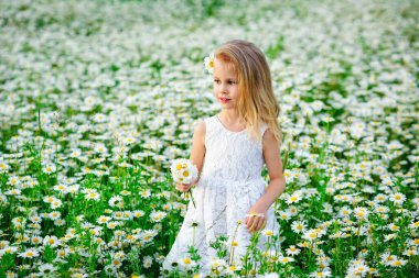 Güzel sarışın kız gün batımında papatya tarlasında bir buket papatyayla gülüyor.