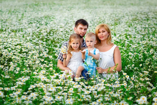 Feliz Familia Mamá Papá Hijo Hija Campo Margaritas Verano —  Fotos de Stock