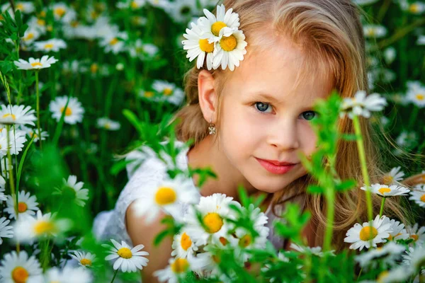 Beautiful Blonde Girl Laughing Field Daisies Sunset Bouquet Camomiles Royalty Free Stock Images