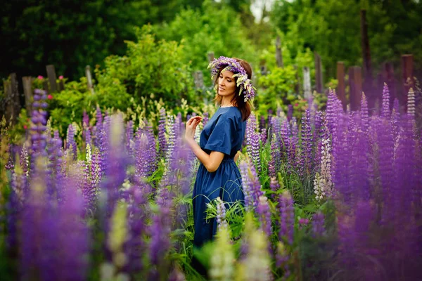 Mujer Vestido Azul Campo Altramuces Púrpura Prado Flores Violetas Verano — Foto de Stock