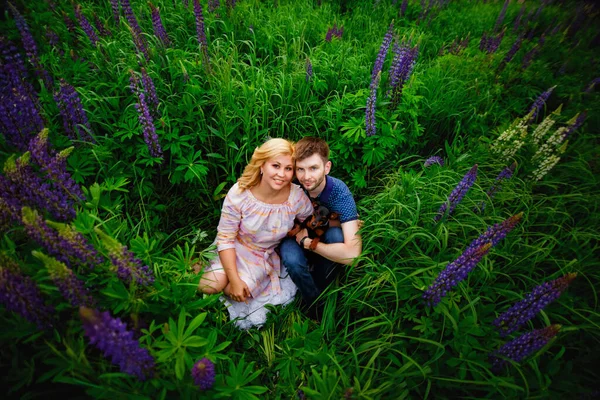 Happy Couple Love Embraces Lupin Field Blooming Purple Flowers Lupine — Stock Photo, Image