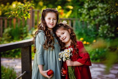 Çocukluk, aile ve doğal güzellik kavramı. Kız kardeşler bir sepet elma ve papatyayla parkta yürüyorlar. Gülümseyen yüzlü kızlar birbirleriyle konuşurlar..