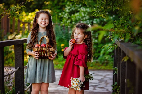 Поняття Дитинства Сім Природної Краси Сестри Ходять Парку Кошиком Яблук — стокове фото