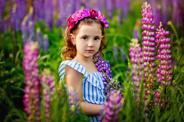 Schöne Mädchen Jahre Alt Auf Dem Feld Mit Lupinen Eine — Stockfoto