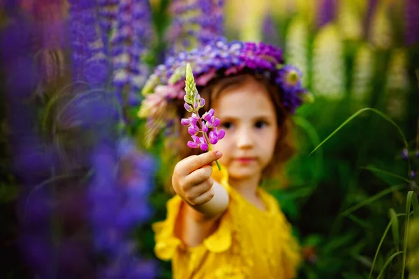 Imagen Con Enfoque Selectivo Soleado Día Verano Una Niña Pequeña — Foto de Stock