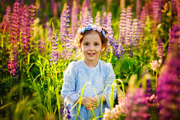 Beautiful girl 5 years old in the field with lupins. A meadow with purple flowers and a little girl with a wreath on her head. A Sunny sunset in a clearing and a girl who sniffs flowers. High quality