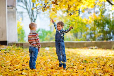 Çocuk parkta sarı sonbahar yapraklarıyla oynuyor.