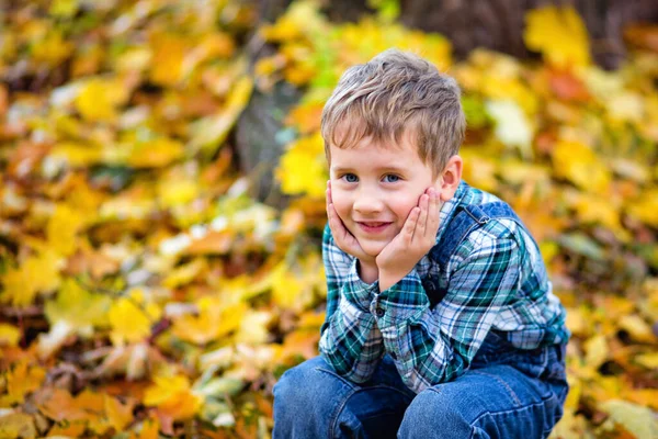 Duży Portret Chłopca Świeżym Powietrzu Słodki Chłopiec Spacerujący Jesiennym Parku — Zdjęcie stockowe