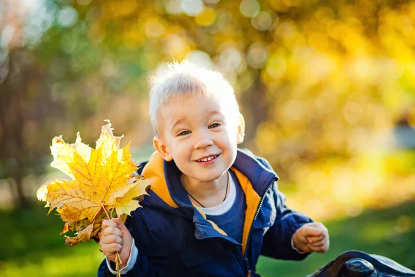 Mały Chłopiec Jesiennym Parku Szczęśliwe Dziecko Rzuca Opadłymi Liśćmi Podczas — Zdjęcie stockowe