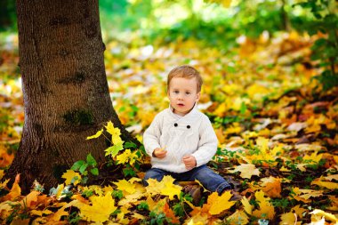 Beyaz örgü süveter giyen mutlu küçük bir çocuk altın sonbahar parkının arka planında sarı akçaağaç yapraklarıyla oynuyor..