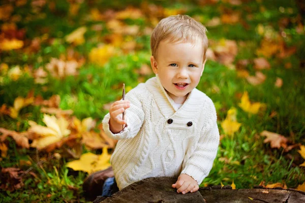 Щасливий Маленький Хлопчик Білому Язаному Светрі Тлі Жовтого Листя Осіннього — стокове фото