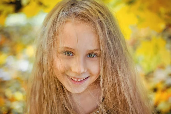 Portret Dziewczynki Matowymi Włosami Twarzy Jesiennym Parku Żółtymi Liśćmi Klonu — Zdjęcie stockowe