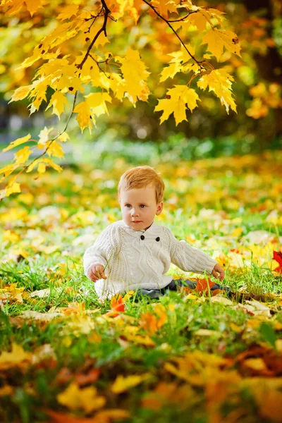 Bambino Con Maglione Bianco Maglia Siede Terra Gioca Con Foglie — Foto Stock